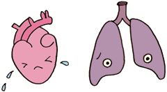 心臓・肺の働き低下