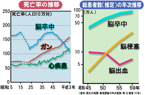 脳梗塞死亡率／総患者数の推移