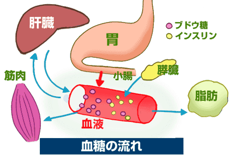 糖尿病 病気の知識 介護の知識 訪問看護 24時間の在宅看護等のサービスを自費で ナースアテンダント